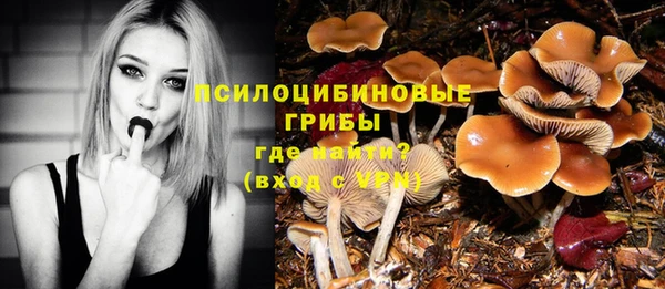 спайс Слюдянка